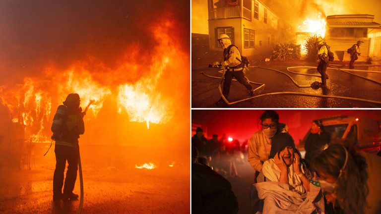 的反馈来看 的反馈来看