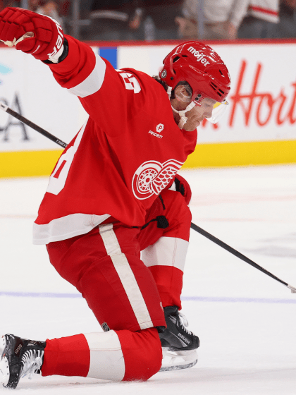 李娜的成功 李娜的成功