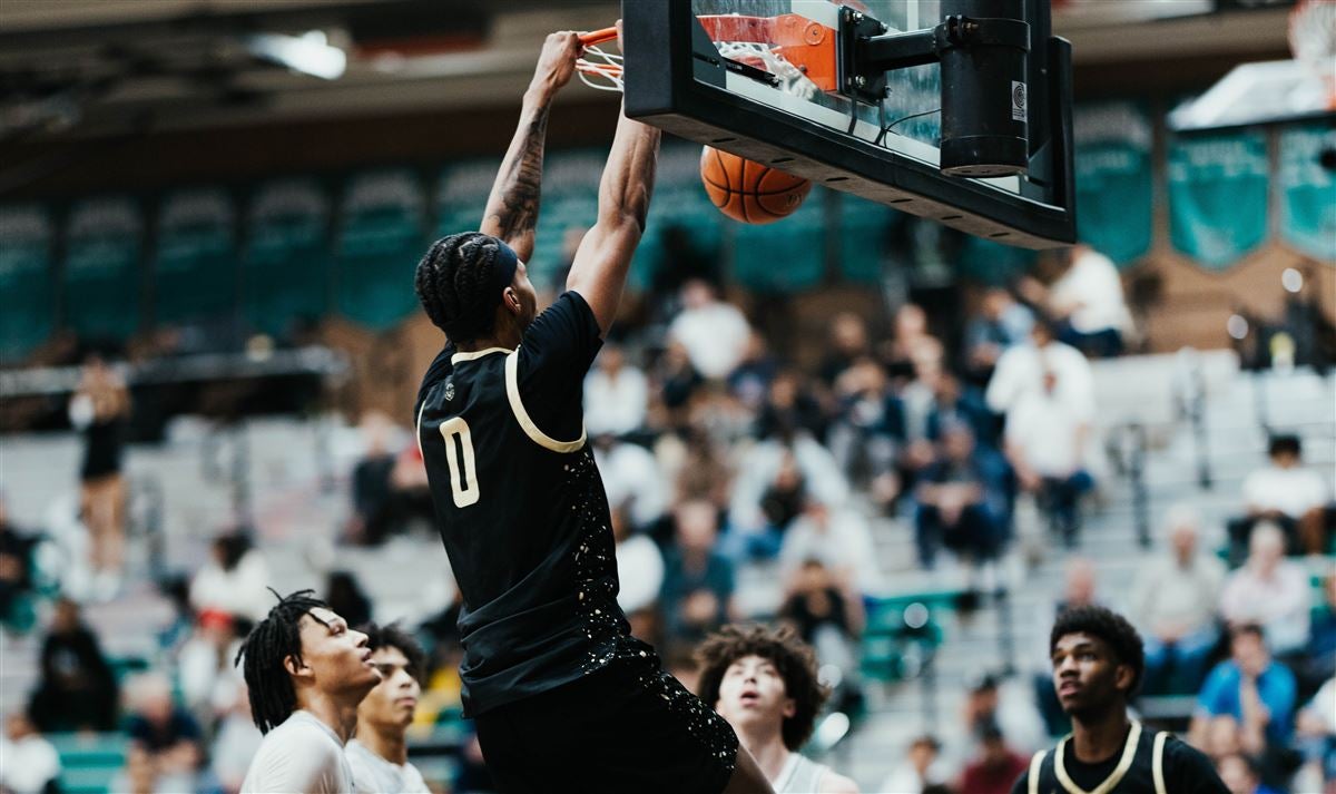 许多分析师 许多分析师